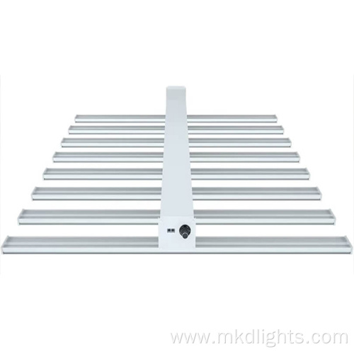 6500K Grow light 800W For Indoor Plant